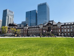 緑豊かな東京駅