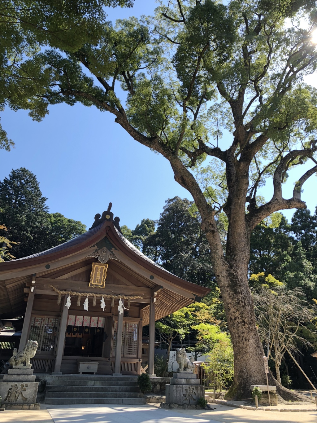 宝満宮 竈門神社