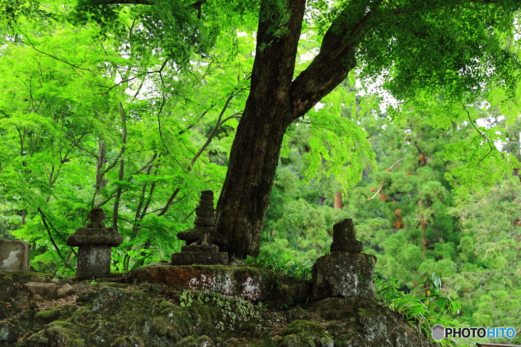 妙義神社にて