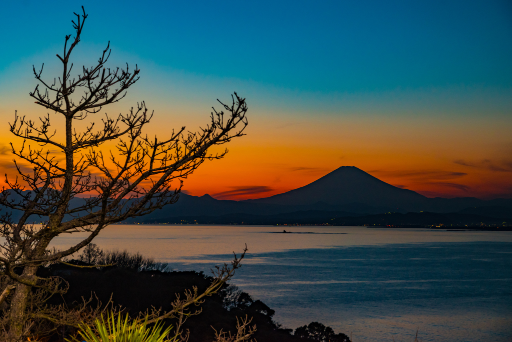 江の島シーキャンドル からの夜景Ⅲ