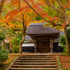 鎌倉の紅葉（円覚寺）