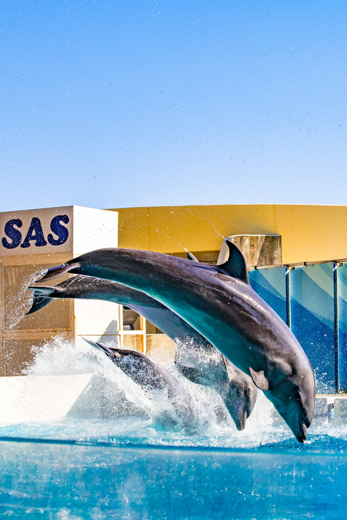 江の島水族館