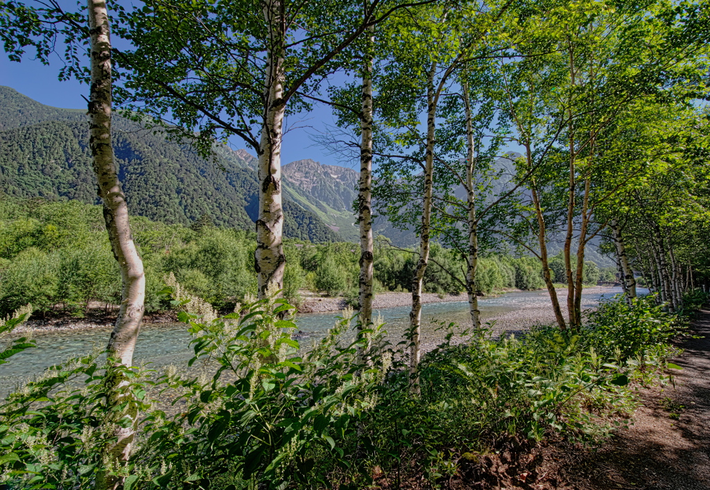 川岸散歩