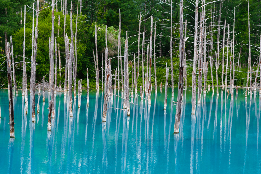 青い池