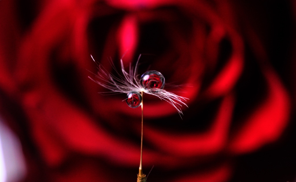 Deep red