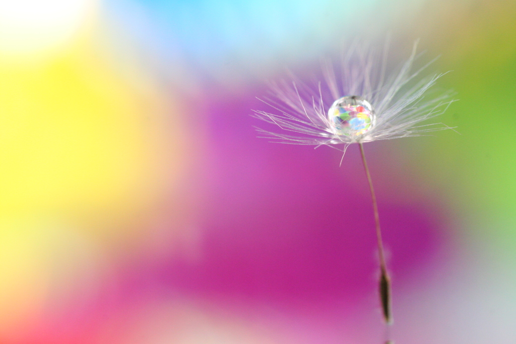 pop candy drop