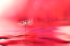 deep red