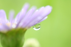 雨あがり