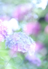 夢の中