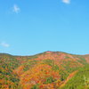 山燃