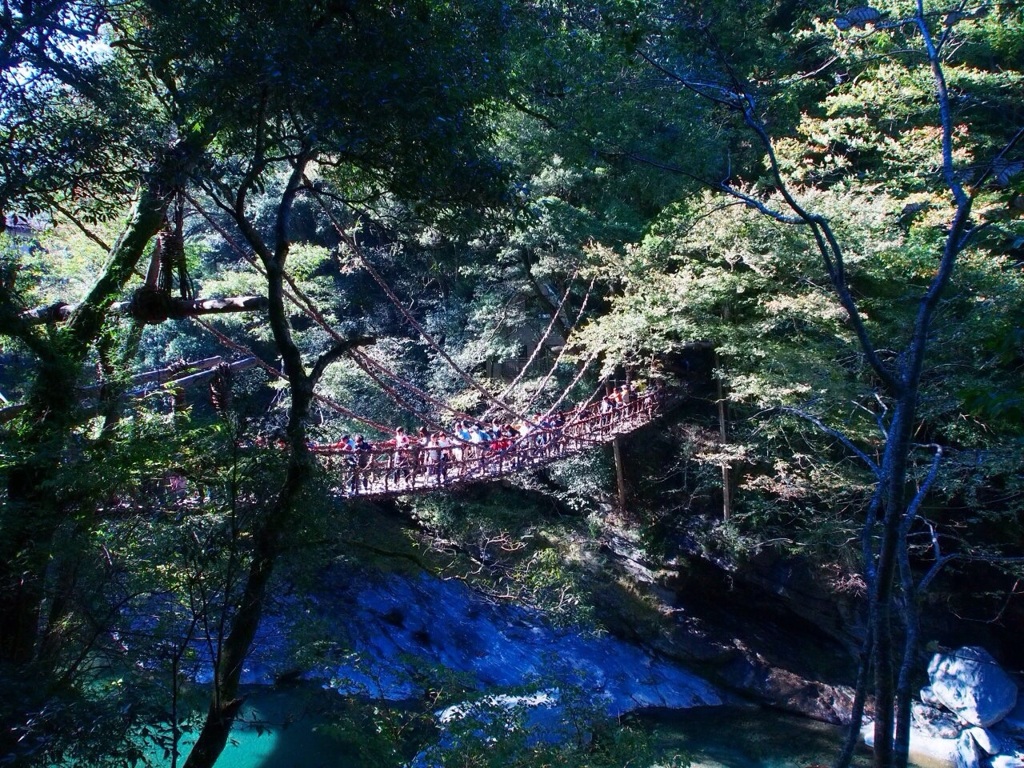 橋を編む