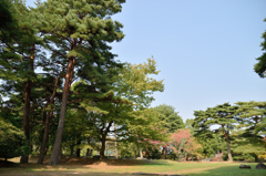 多賀城廃寺跡02