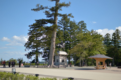 青葉城