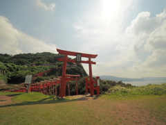 P8142444
