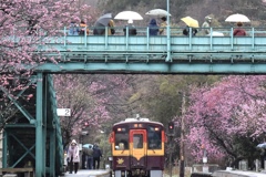 花の駅に雨が降る