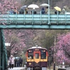 花の駅に雨が降る