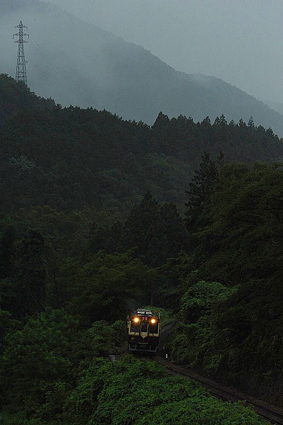 今日の雨