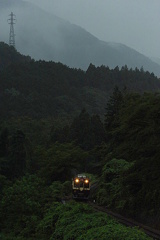 今日の雨