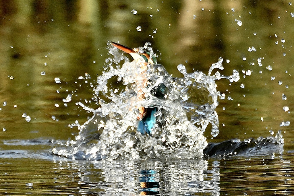 twist and splash