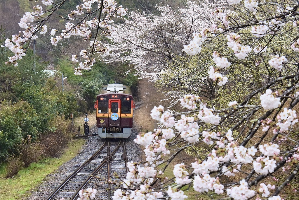 紗のかかる光景