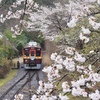 紗のかかる光景