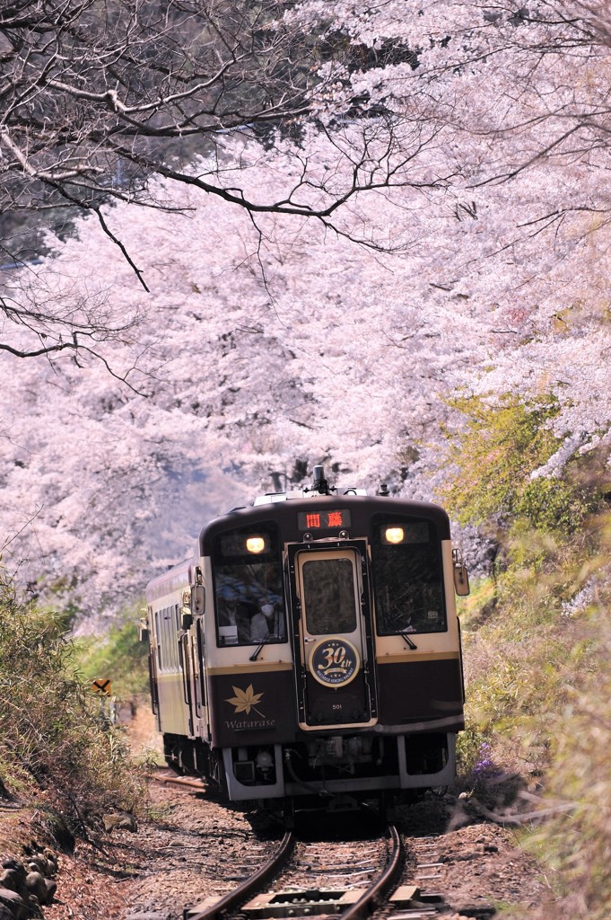はじめての出来事
