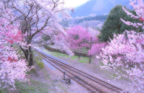 鉄路