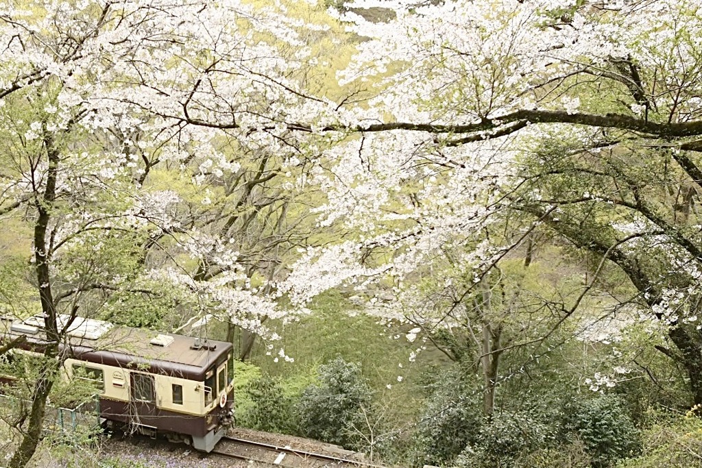 通りすがりに見たもの