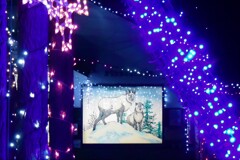 カモシカを見れる駅