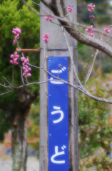 春待ち