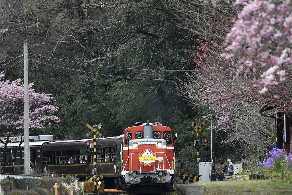 わ鐵の旅路