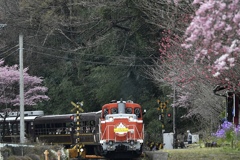 わ鐵の旅路