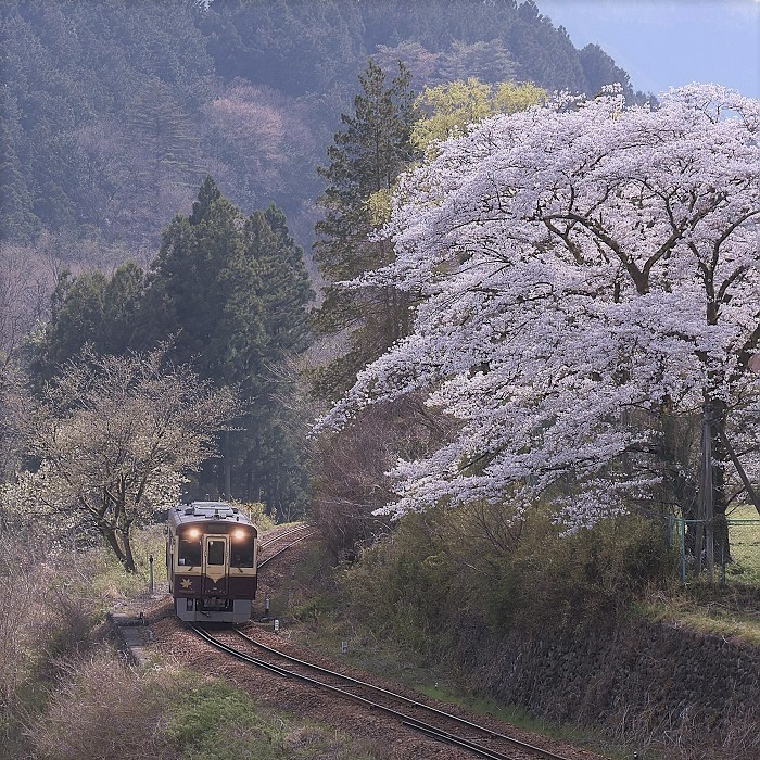 Cの光景