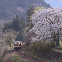 Cの光景
