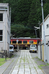 兎が通る道