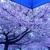 月曜日の雨