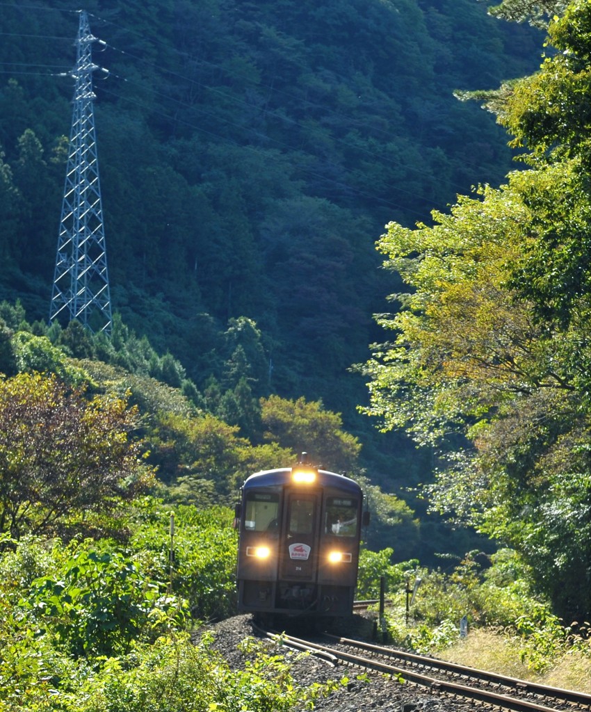 コラボ