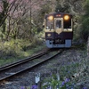 花の上神梅