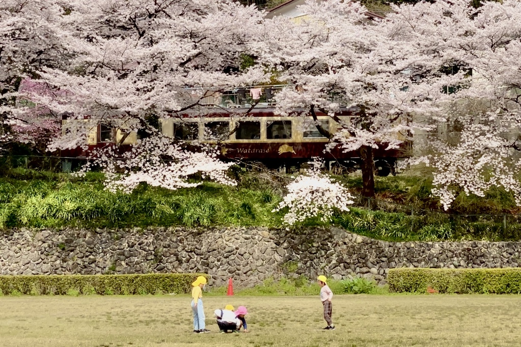 あそぼう
