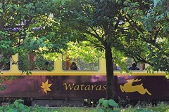Wataras