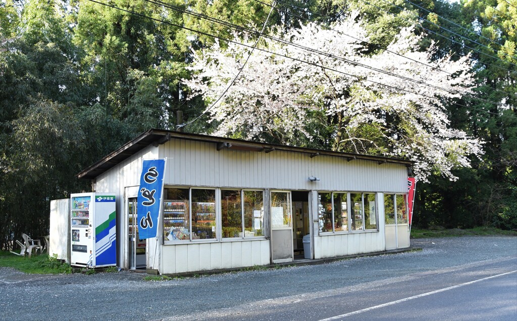 ピットイン わ鐵