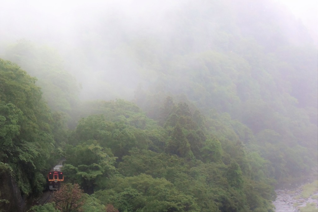 わっしー　雨の渓谷 Ⅱ