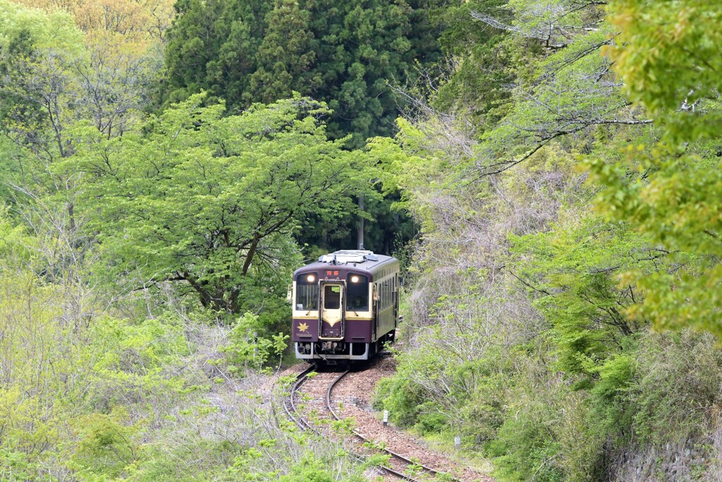 松島橋近郊