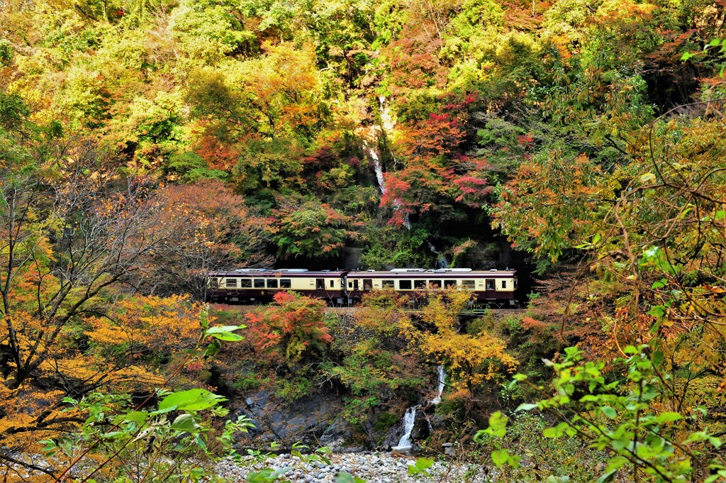 みんな大好き 汽車見の滝