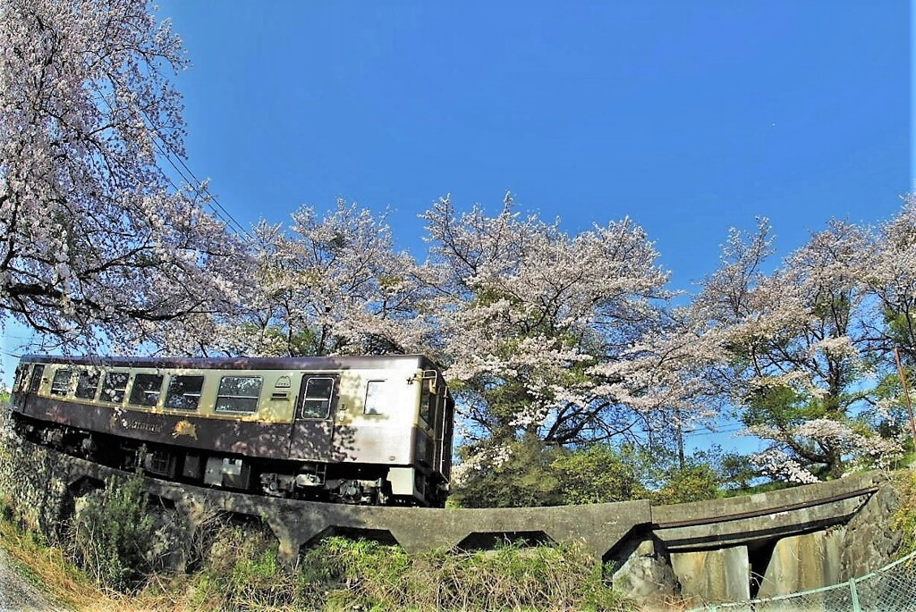 春の忘れ物