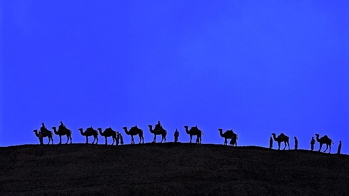 Caravan