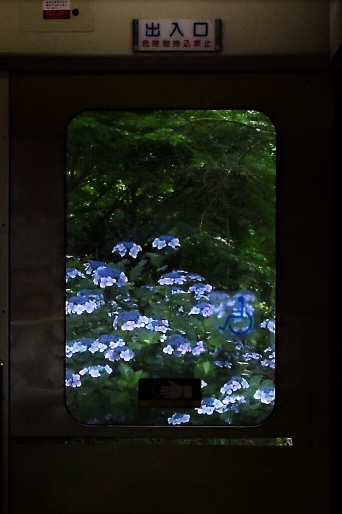 紫陽花が待つ駅