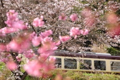 春鉄