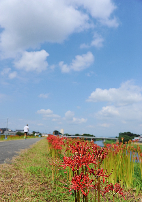 わたしの街　