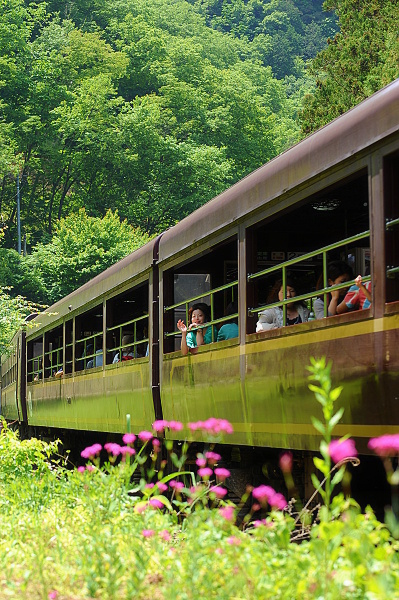 トロッコに花添えて